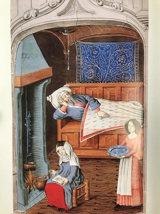 西方医学图史 数百幅插图 精装16开 商品图10