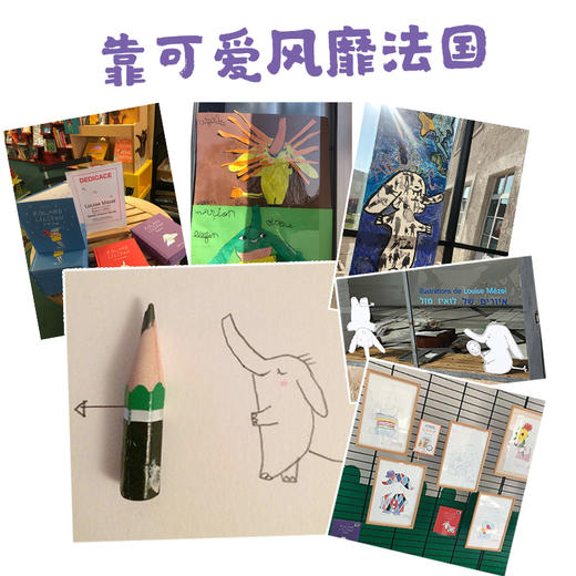 小象罗兰：全4册 商品图5