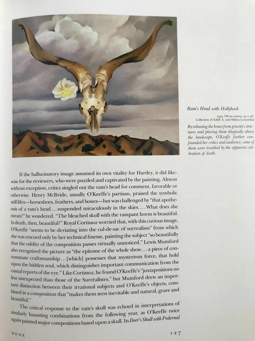 乔治娅·奥·吉弗画集 111幅插图（54幅彩色） 精装大16开 商品图9