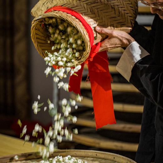 横县茉莉花茶《茉莉飘雪》（3窨）100g/盒 商品图8