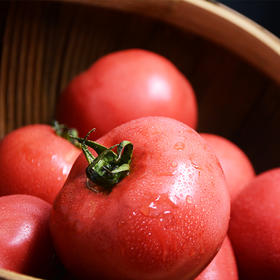 （永久作废）新疆沙瓤西红柿 番茄