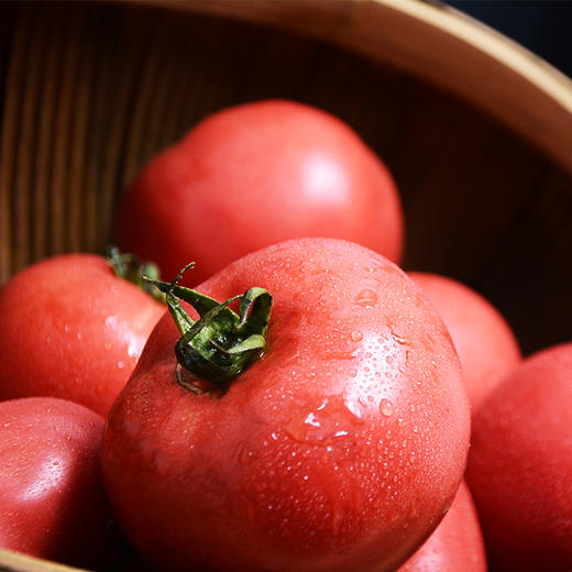 （永久作废）新疆沙瓤西红柿 番茄 商品图0