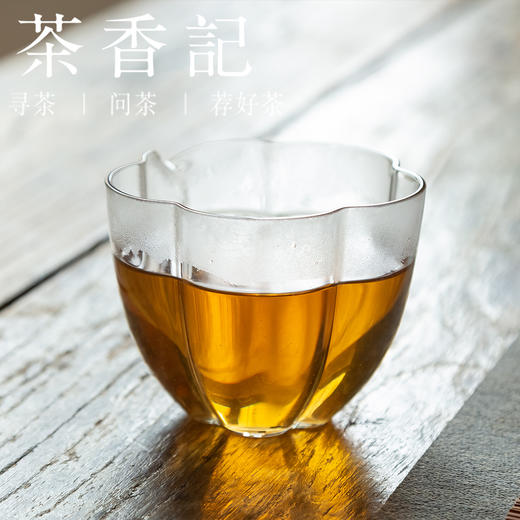 茶香记 金尖贡茯013 芙蓉仙溪 手筑茯砖 菌香糯香 甜醇饱满 安化黑茶 商品图3