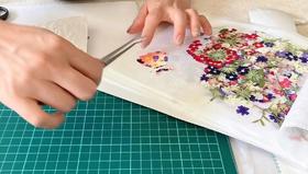 日本制押花系列