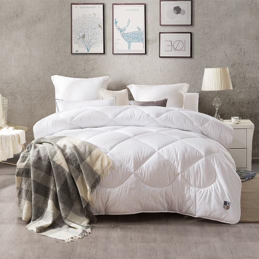 LOVO（罗莱旗下出品） 活力贵族冬被200*230cm 商品图0