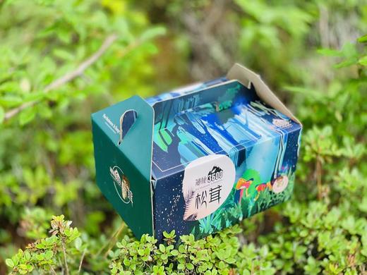 来自海拔3600米的馈赠！【香格里拉松茸】未开伞菌膜未破 出口一级标准 48小时内采摘 顺丰空运全国包邮 商品图6