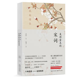 纸短情长:美得窒息的宋词，挚美中英双语诗画集 吴俣阳 著 9787570214488