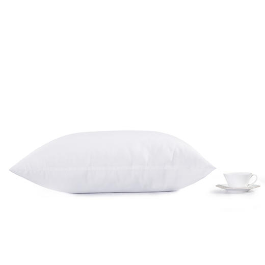 LOVO（罗莱旗下出品)柔梦纤柔对枕2只装46*72cm /柔馨亢菌对枕（2只装）47*73cm 商品图4