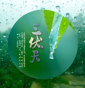 马上入伏，冬病夏治正当时！身上贴个它，扶阳气、通经络，增强身体免疫力！