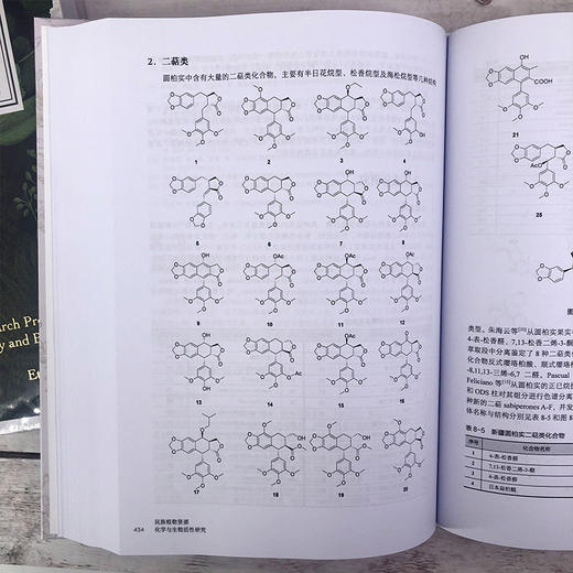 民族植物资源化学与生物活性研究 商品图8