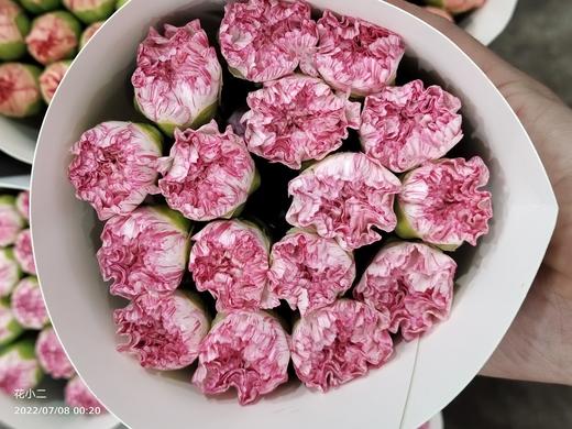 康乃馨·欢乐时光 商品图0