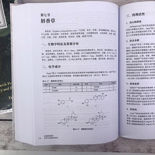 民族植物资源化学与生物活性研究 商品图10