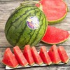 小吊瓜 冰淇淋小西瓜  红肉 商品缩略图2