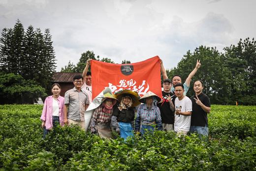 横县茉莉花茶《茉莉飘雪》（3窨）100g/盒 商品图7