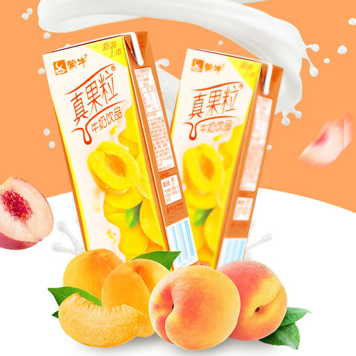 蒙牛真果粒包装250ml 椰果粒 商品图1