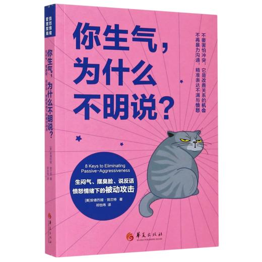 你生气为什么不明说(生闷气摆臭脸说反话愤怒情绪下的被动攻击) 商品图0
