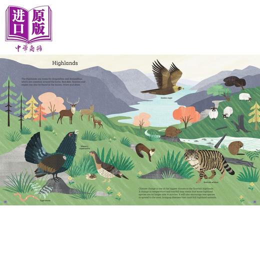 如何帮助刺猬和保护北极熊 How to Help a Hedgehog and Protect a Polar Bear 英文原版 儿童绘本 动物图画书 商品图3