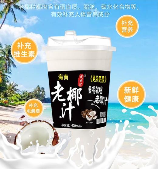 成央记  海南老椰汁420ml 商品图1