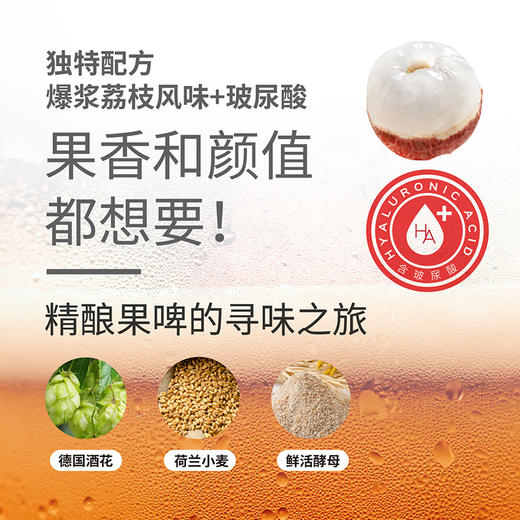Reberg莱宝精酿啤酒 荔枝味玻尿酸307ml*4瓶啤酒果味啤酒新品 商品图2
