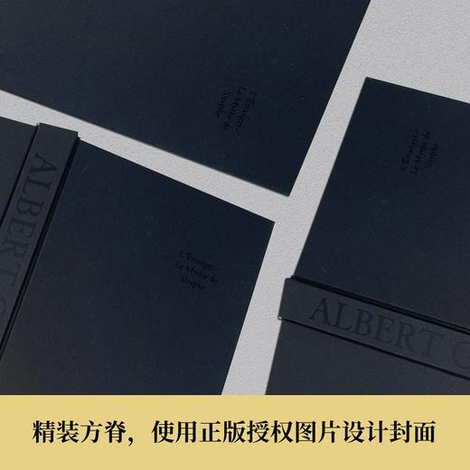 (仓发) 局外人 西绪福斯神话/郭宏安译加缪文集/译林出版社/[法国] 阿尔贝·加缪/9787544784382 商品图3