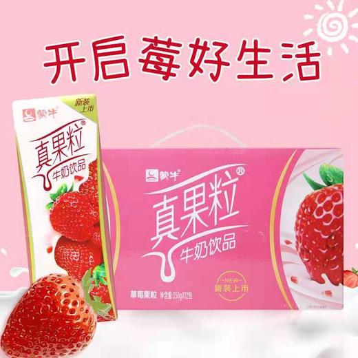 蒙牛真果粒包装250ml 椰果粒 商品图0