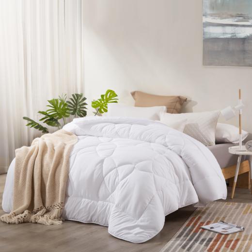 LOVO（罗莱旗下出品） 芮享防螨春秋被200*230cm 商品图0