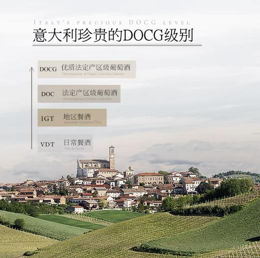 【意大利DOCG等级】意大利弗拉尼阿斯蒂起泡酒 DOCG等级 7%vol 商品图2