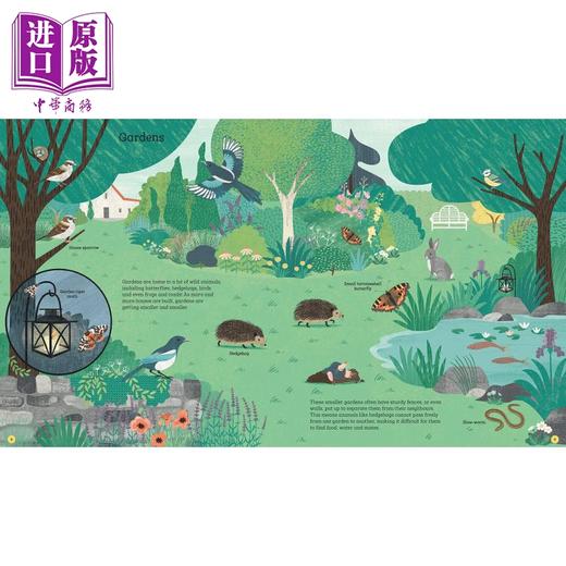 如何帮助刺猬和保护北极熊 How to Help a Hedgehog and Protect a Polar Bear 英文原版 儿童绘本 动物图画书 商品图1