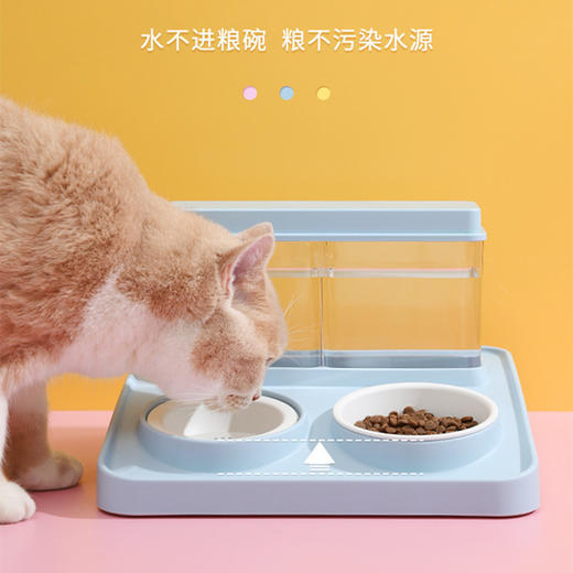 蓝色一体饮水喂食器 商品图2
