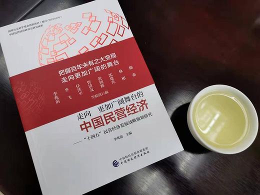 (仓发) 走向更加广阔舞台的中国民营经济——“十四五”民营经济发展战略规划研究/中国财政经济出版社/李兆前/9787522306346 商品图1