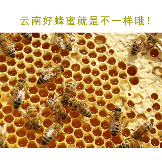 老厨娘牌蜂蜜260g/瓶 商品图1