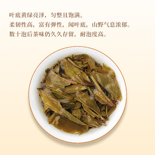 一球2022年百山百味·邦崴普洱生茶饼200g 商品图3