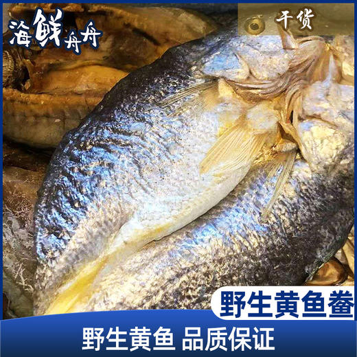 【干货】古法淡晒 野生黄鱼鲞 400g/条 商品图0
