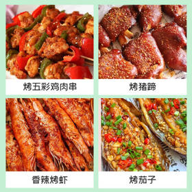 银京烧烤料100g 袋装 富昌调味料腌肉烤肉烤串调料撒料蘸料调料粉