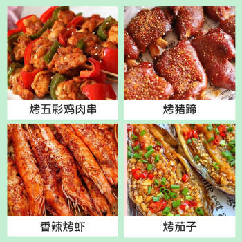 银京烧烤料100g 袋装 富昌调味料腌肉烤肉烤串调料撒料蘸料调料粉 商品图0