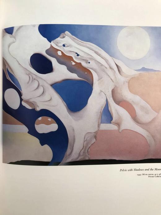 乔治娅·奥·吉弗画集 111幅插图（54幅彩色） 精装大16开 商品图7