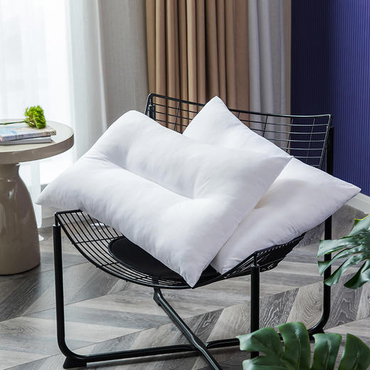 LOVO（罗莱旗下出品)柔梦纤柔对枕2只装46*72cm /柔馨亢菌对枕（2只装）47*73cm 商品图5