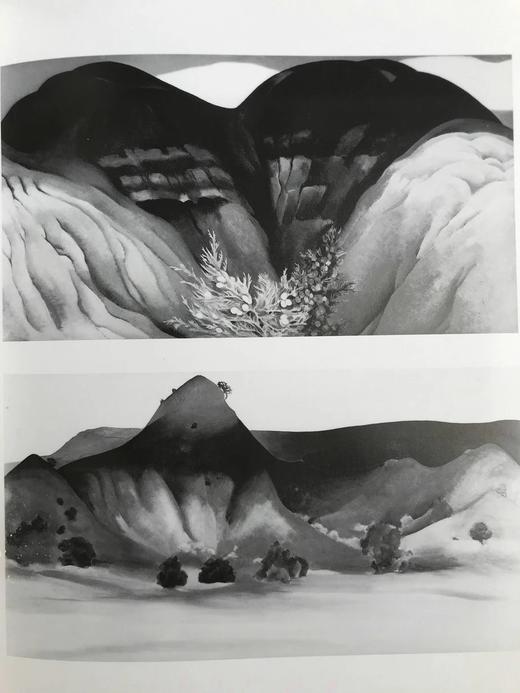 乔治娅·奥·吉弗画集 111幅插图（54幅彩色） 精装大16开 商品图11