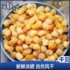 【干货】古法淡晒 干贝 250g/包 商品缩略图0