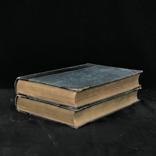 他把理查三世画成猪！1843年 莎士比亚作品集（存2卷） 肯尼·梅多斯近千幅版画插图 真皮精装16开 商品图1