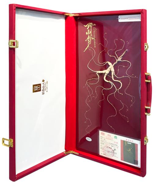 长白山人参  20年野山参 整枝深山密林下生长野生人参 商品图0