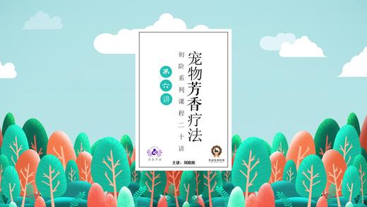芳香疗法第六讲 商品图0