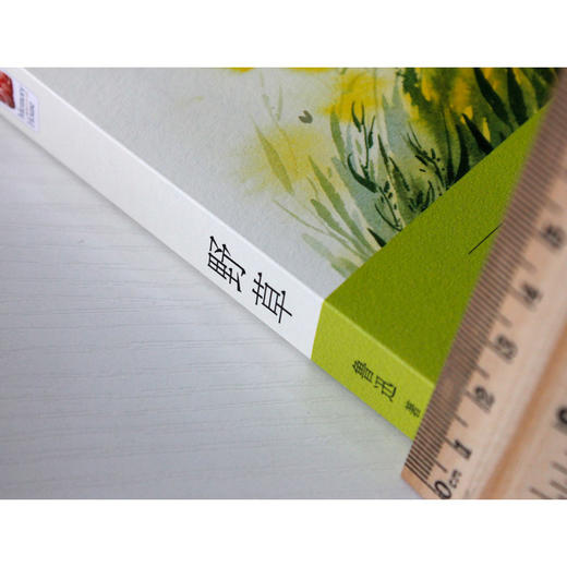 (仓发) 野草（鲁迅“独语”式的抒情散文诗，中小学课外阅读）/江苏凤凰文艺出版社/鲁迅/9787559401250 商品图4