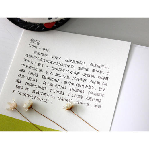 (仓发) 野草（鲁迅“独语”式的抒情散文诗，中小学课外阅读）/江苏凤凰文艺出版社/鲁迅/9787559401250 商品图6