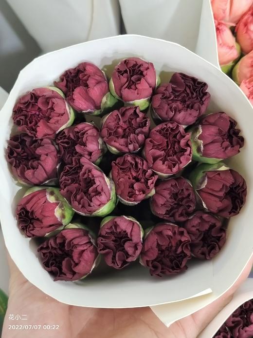 康乃馨.王冠 商品图0