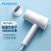 飞科（FLYCO） 电吹风机负离子护发家用磁吸集风嘴可折叠FH6276 1800W 【FH6276】磨砂白 磁吸风嘴 负离子系列 商品缩略图0