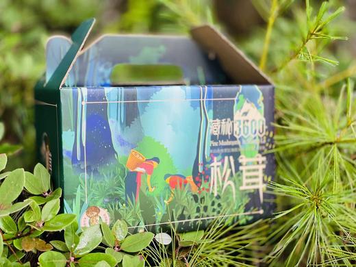 来自海拔3600米的馈赠！【香格里拉松茸】未开伞菌膜未破 出口一级标准 48小时内采摘 顺丰空运全国包邮 商品图8