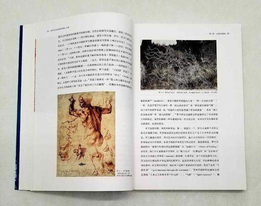 《西方艺术史中的中国山水画》，16开，[美]詹姆斯.埃尔金斯著，上海书画出版社2019年版，定价98，售价49元。非偏远地区包邮。

本书是以全球艺术史的宏观视角叙述中国山水画在艺术史版图下的面貌，也 商品图6