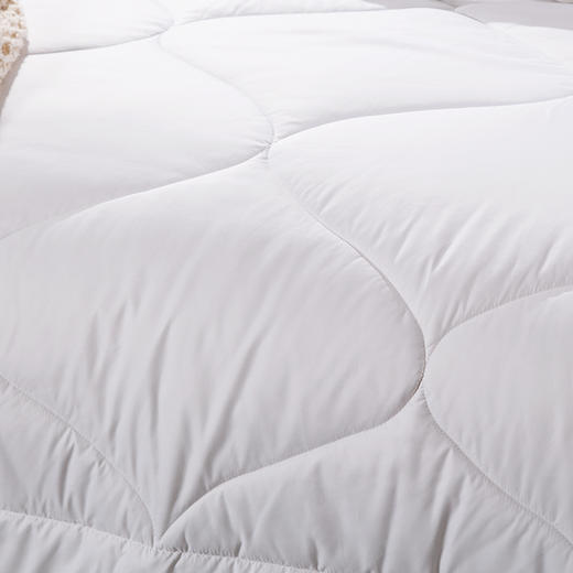 LOVO（罗莱旗下出品） 素睿澳毛四季被 200*230cm 商品图3