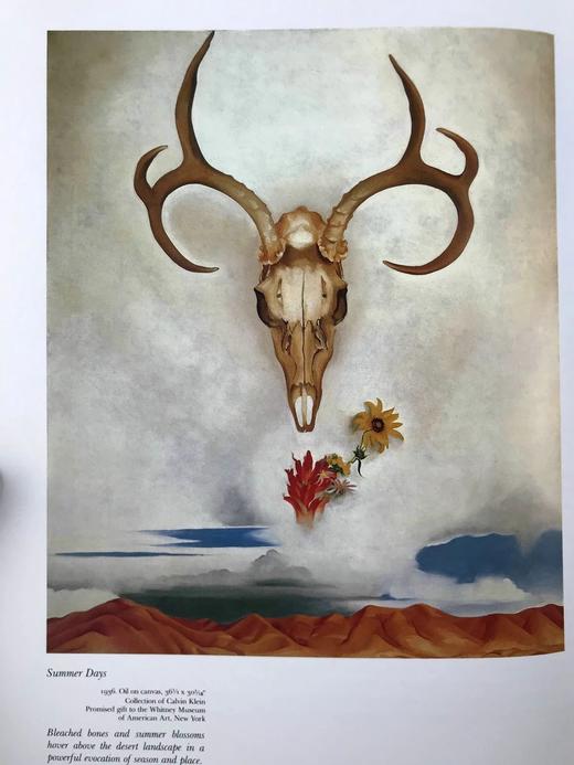 乔治娅·奥·吉弗画集 111幅插图（54幅彩色） 精装大16开 商品图8